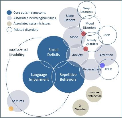 autism spectrum disorder